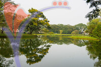 Taman Tasik Taiping