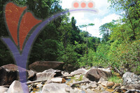 Hutan Lipur