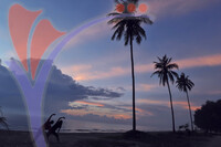Kuala Koh