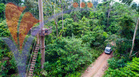 Tabin Wildlife Lookout Point, Sabah