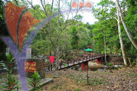 Lata Kekabu - Perak