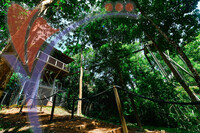 Canopy Walk Guar Chenderai , Perlis