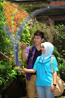 Butterfly Farm
