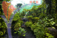 Kuala Lumpur Bird Park - Kuala Lumpur