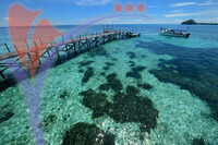 Mantanani Island