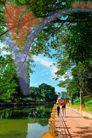 Jogging At Seremban Lake Garden, Seremban, Negeri Sembilan