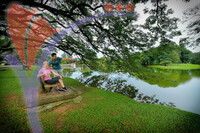 Taiping Lake Garden
